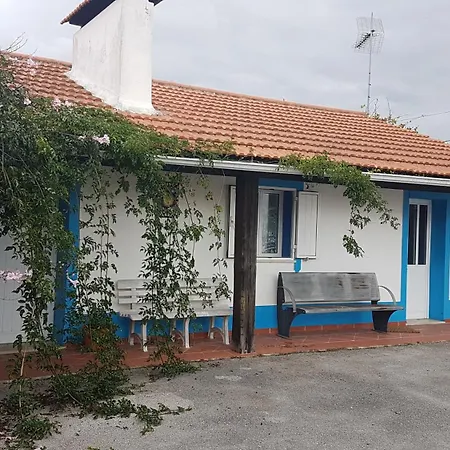 Charming House In With Shared Pool Pataias