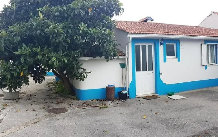 Charming House In With Shared Pool Holiday home Pataias