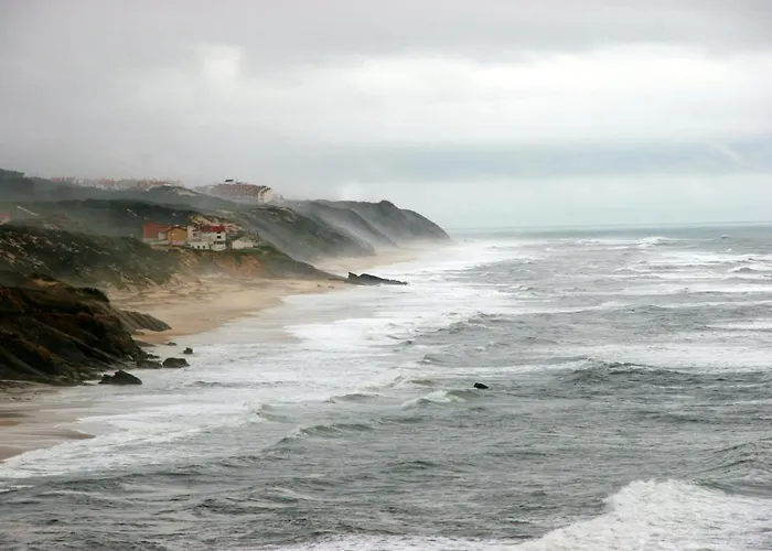 Charming House In With Shared Pool Pataias